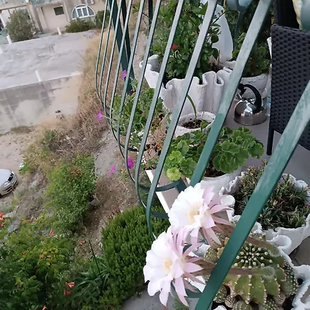 Διαμέρισμα Ante